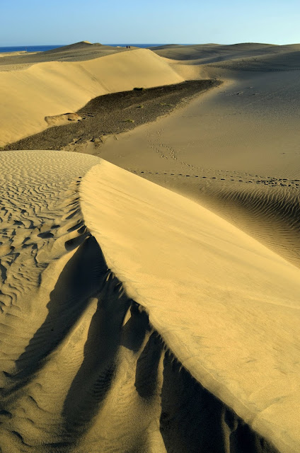 Espacio de las dunas de Maspalomas. Gran Canaria