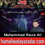 http://www.humaliwalayazadar.com/2014/11/mammad-raza-ali-nohay-2015.html