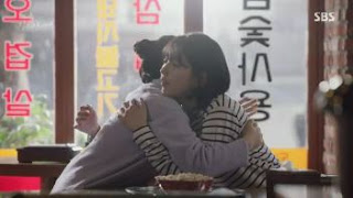 Sinopsis While You Were Sleeping Episode 9