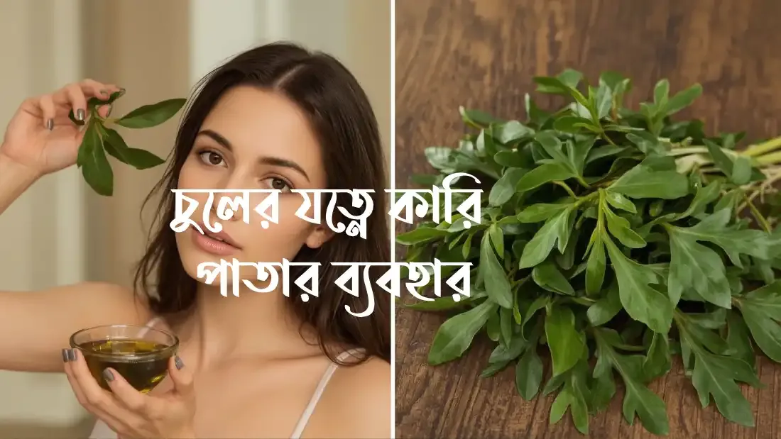চুলের-যত্নে-কারি-পাতার-ব্যবহার