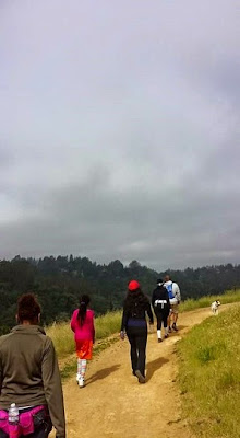 Hiking Tilden Nature Area, Hiking, Tilden Park, Exercise