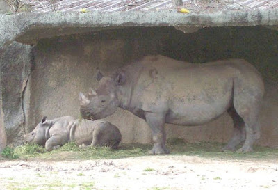 Brec's Baton Rouge Zoo in Louisiana