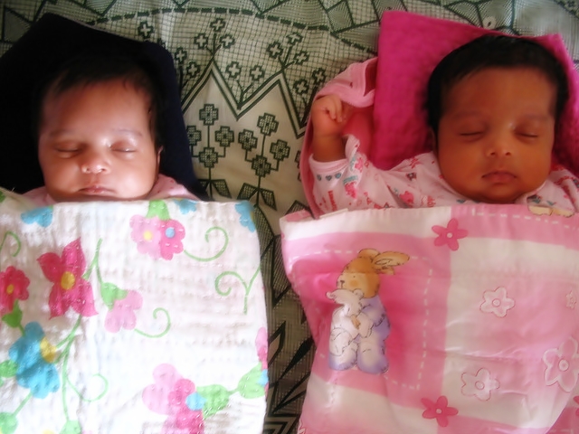 twins baby photos