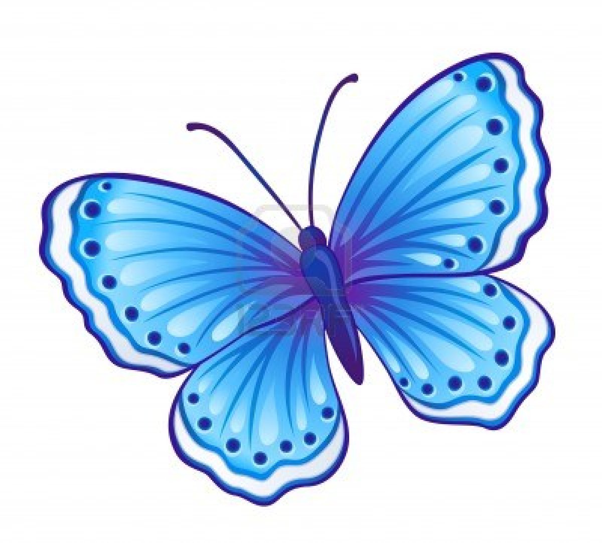 butterfly cartoon images free photos