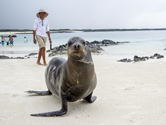 Ecuador-Galapagos-SanCristobal-180223-0220-ToWeb