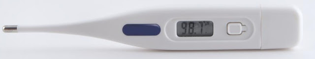 Digital Thermometer - Sara Healthcare