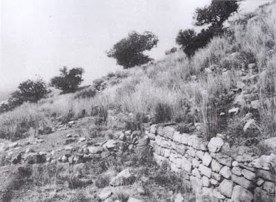 El jaciment iber de l amuntanya del Castell d'Almenara