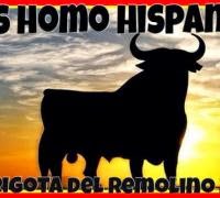 La chirigota de Remolino será en 2015 'Los homo hispanos'