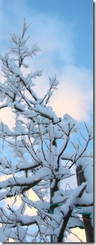 un cuore fra la neve-2