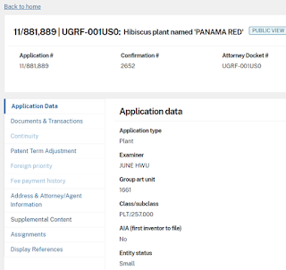 Patent Center information for plant patent PP20121