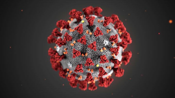 Jumlah pasien positif virus Corona atau COVID-19 di Indonesia melonjak drastis naviri.org, Naviri Magazine, naviri