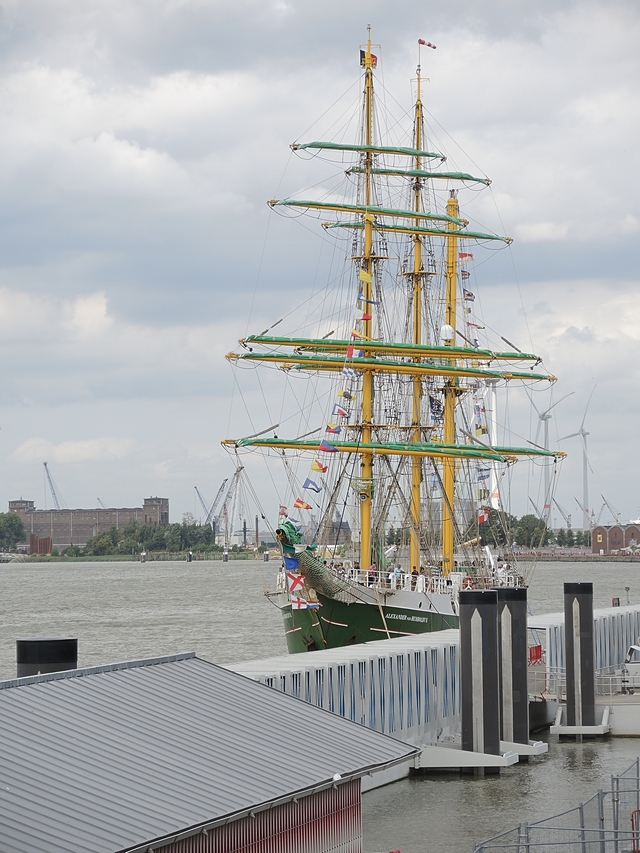 Antwerpen: over de Tall Ship Races en de "verlelijking" van mijn stad