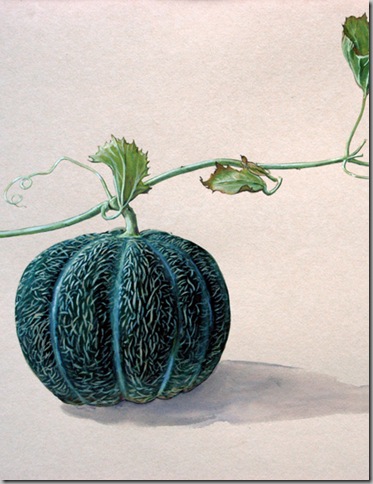 melon