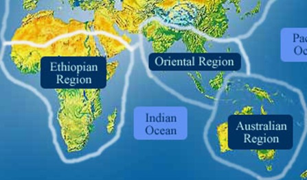 oriental-region