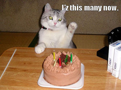 cats celebrate their birthdays