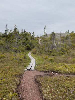 Dirt trail and boardwalk pathway on Atlantic coastline.