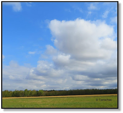 goldener Oktober