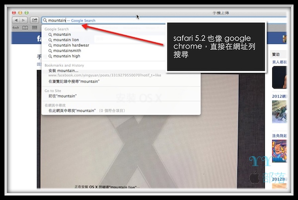 Mountainlion 12