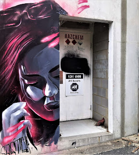 Albury Street Art | Kade Sarte