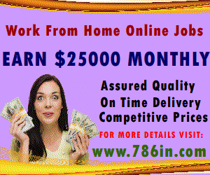 Earn $25000 Monthly Work-From-Home: Exploring Online Chat Customer Support Jobs