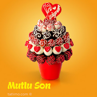 mutlu_son