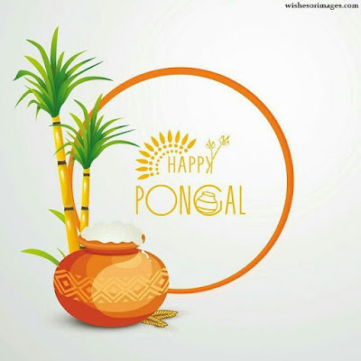 Happy Pongal Images For Facebook