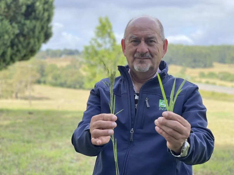 Alfredo Torres, investigador INIA Remehue