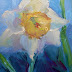 Daffodil Painting, Small Flower Painting, Daily Painting, 6x8" Oil