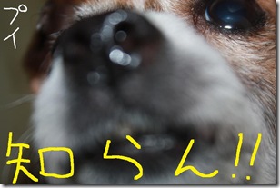 今日カズ１００２２８　４