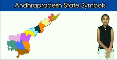 Andhrapradesh State Symbols