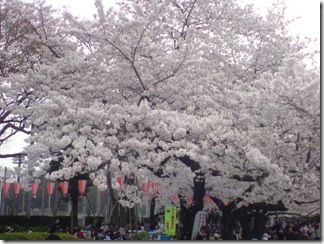 DSC00483