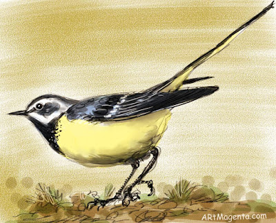 Grey wagtail is a bird sketch by Artmagenta