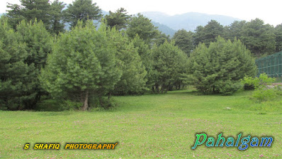 Wallpaper_Pahalgam