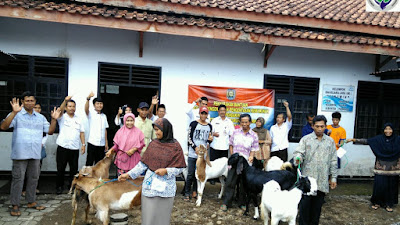 Serahkan 10 ekor kambing, Pemdes Sekartejo Berharap Bisa Menambah Pendapatan Masyarakat Miskin