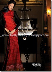 pakistani models. indian models. indian girls. pakistani desi girls. indian desi girls. arab girls. pakistani fashion. indina fashion (66)