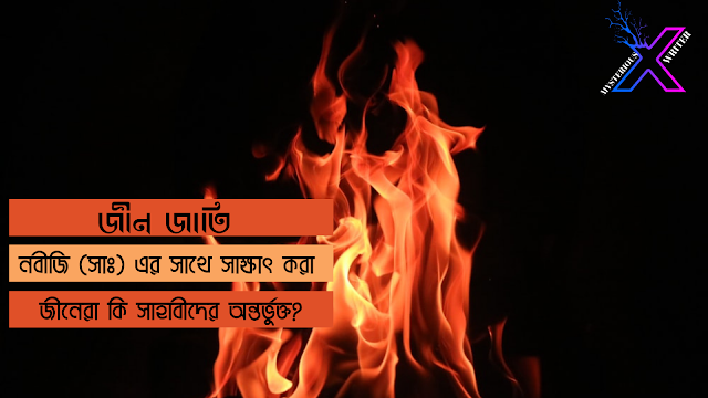 জ্বীন জাতি : নবীজি (সাঃ) এর সাথে সাক্ষাৎ করা জীনেরা কি সাহাবীদের অন্তর্ভুক্ত?