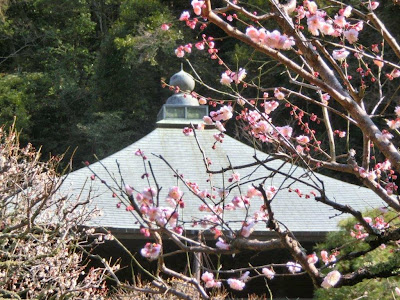 梅・瑞泉寺