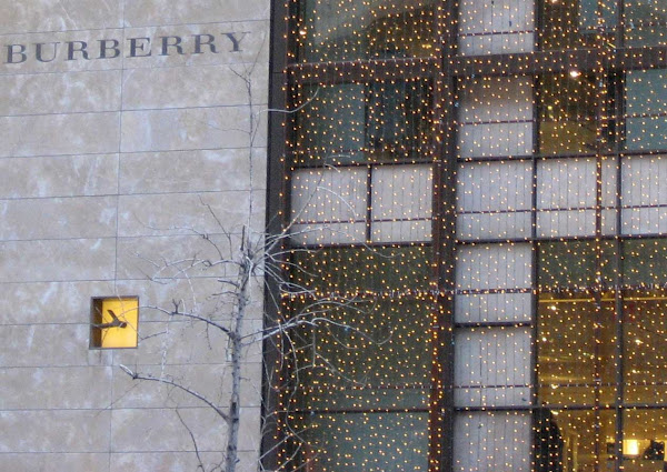 Neglige of Lights - Burberry's on 57th St., December 2008.