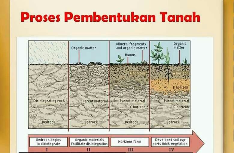 Proses Pembentukan Tanah Faktor dan Jenis Tanah Portal 