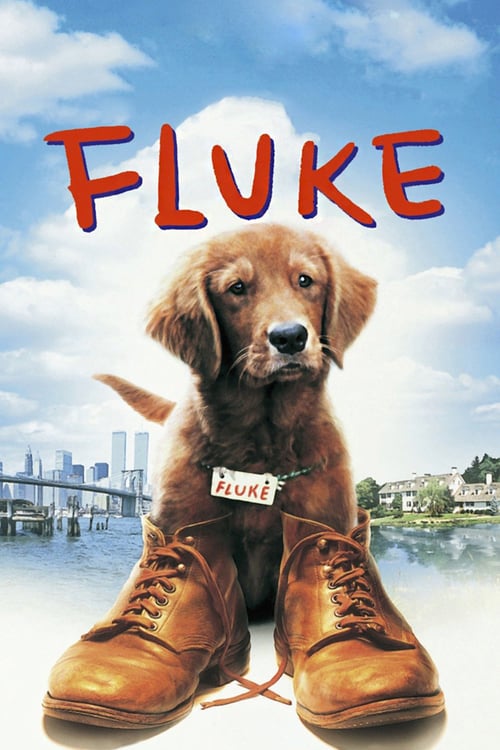 Descargar Mi amigo Fluke 1995 Blu Ray Latino Online
