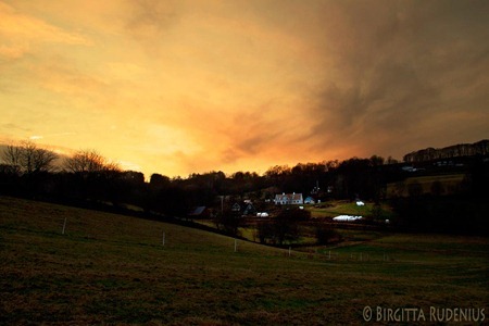 bjare_20120119_flo