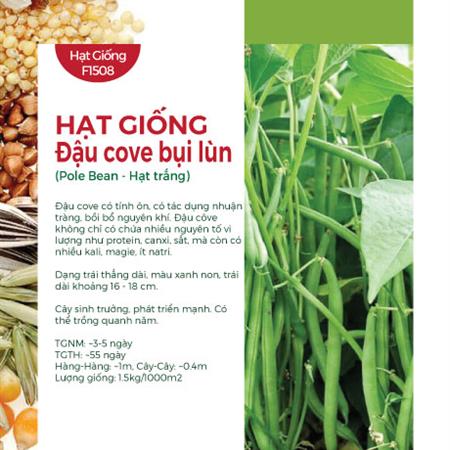 Hạt giống Đậu cove hạt trắng 491AQ - Dạng bụi