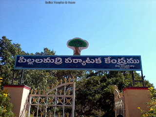 Pillalamarri Banyan Tree in Mahabubnagar