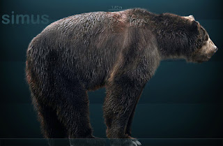 Oso gigante prehistórico Arctodus Simus