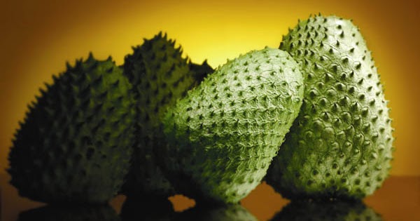 Eya Ar-Rayyan: Khasiat Buah Durian Belanda