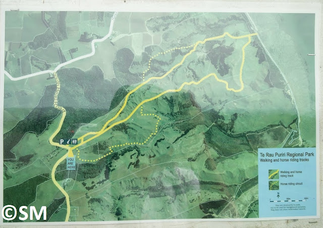 Photo de la carte du parc de Te Rau Puriri sur la péninsule sud de Kaipara Harbour Nouvelle-Zélande