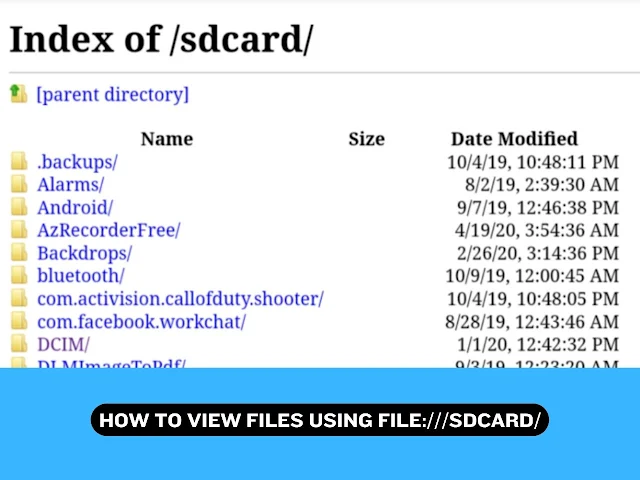 How to View Files Using file:///sdcard/