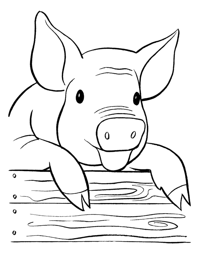 fat cute pig printable coloring books