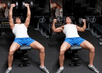 Incline Bench Dumbbell Press