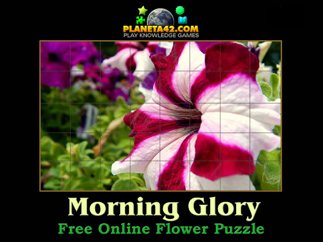 Morning Glory Flower Puzzle